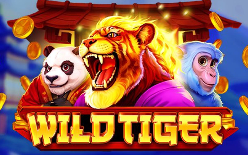 Play the Wild Tiger slot for big wins at Winwin.